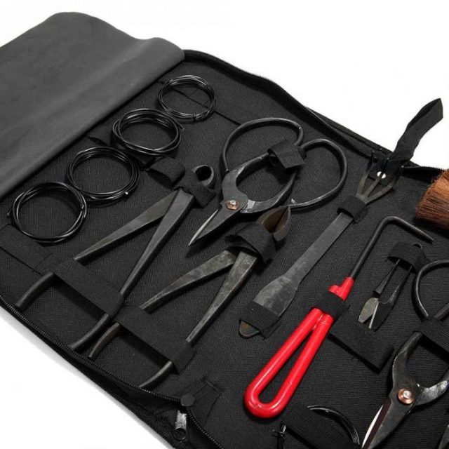 ✓ Review Kits de herramientas chinas para baratas taller de Bonsai