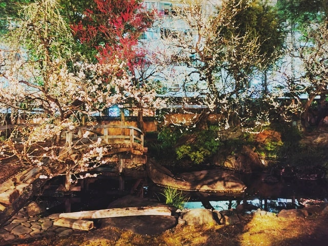 jardin-japones-viajar-japon