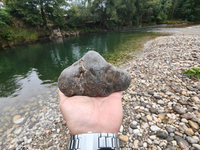 tanseki de piedra con silueta de montaña lejana