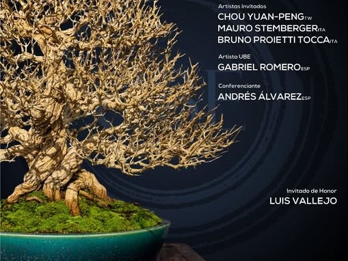 talleres UBE BONSAI aranjuez