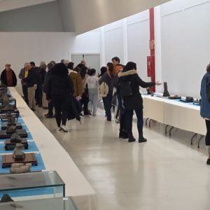 exposicion suiseki madrid