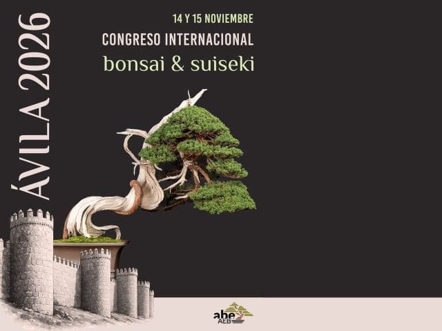 Exposicion bonsai y Suiseki Ávila 2026