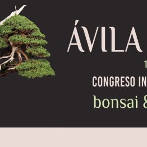 ABE bonsai Ávila exposición 2026