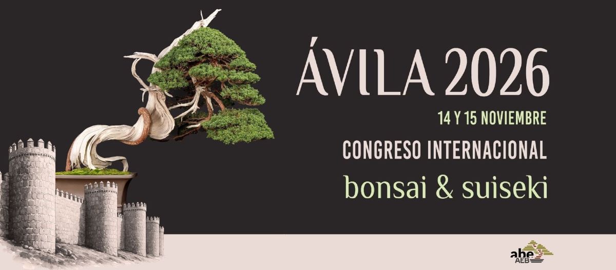 ABE bonsai Ávila exposición 2026