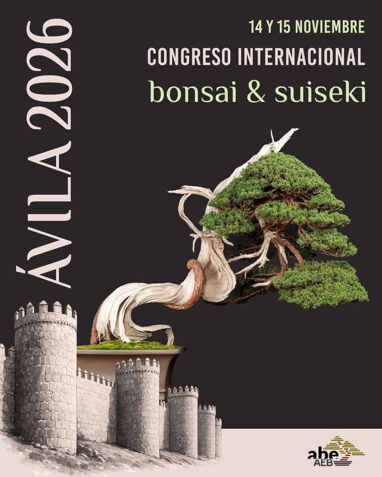 Exposición Bonsái ABE Ávila 2026