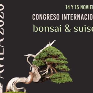 cartel exposicion bonsai avila 2026 ABE