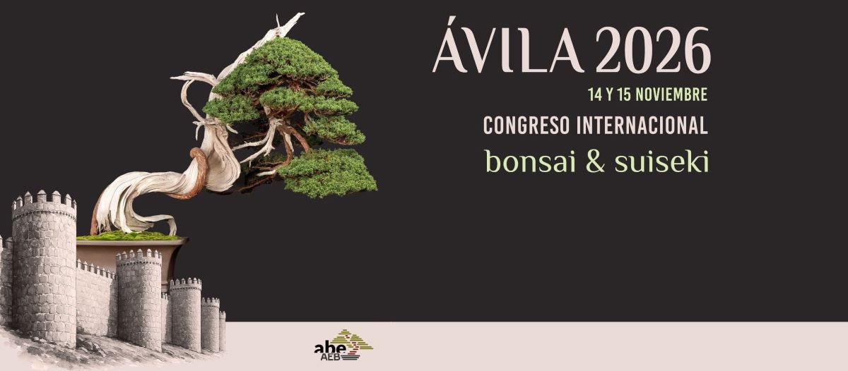 exposicion bonsai ABE avila