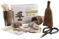 Kit bonsai varias especies A Kit bonsai varias especies A
