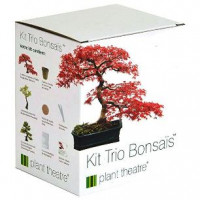 Kit bonsai 3 especies Kit bonsai 3 especies
